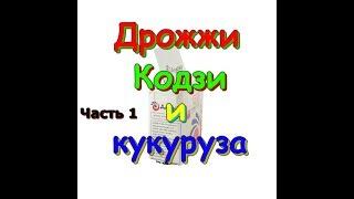 Дрожжи "Кодзи". Кукурузный самогон. Бурбон. Кукурузная брага. Спирт-сырец.Часть 1.