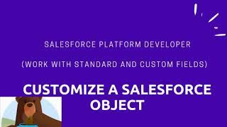 Trailhead challenge on Customize profiles and objects