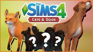What If The Fox & The Hound Had Puppies?!  Sims 4: Cats & Dogs