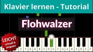 Flohwalzer | Üb #mitmir Klavier! Bekannte Lieder für Klavier | Piano Tutorial  Felicitas Falke 