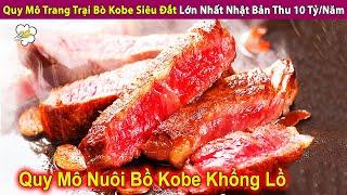 Quy Mô Trang Trại Bò Kobe Siêu Đắt Lớn Nhất Nhật Bản Thu 10 Tỷ/ Năm | Review Con Người Và Cuộc Sống