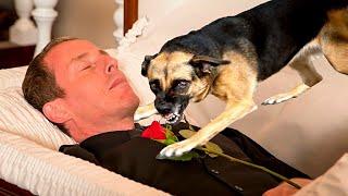 During the funeral, the dog came to say goodbye to his owner. Then the incredible happened!