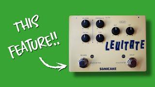 This pedal can do THAT?! Sonicake Levitate Digital Delay Reverb