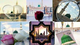 Roza e Rasool ️ #beautifull dp ماشاءاللہ Heart tuching 