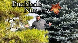 Buchholz Nursery Conifer Tour! Magical Misty Oregon Morning!