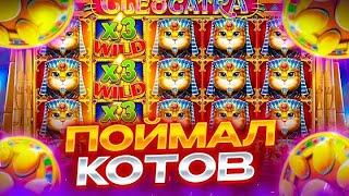 ЗАКРЫЛ ПОЛЯНУ КРАСНЫХ КОТОВ В БОНУСКЕ ЗА ???.???р В CLEOCATRA!!! ХОРОШИЙ КАМБЭК!!!