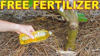 The "Number One" FREE FERTILIZER For Your Garden And Fruit Trees