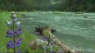 Alaska.org - Haines Alaska: Everything You Dreamed ...