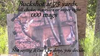 000 BUCKSHOT MAGNUMS 75 YARDS, accurate? good enough for hunting?