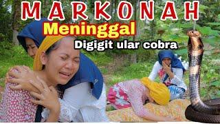  MARKONAH MENINGGAL DIGIGIT ULAR COBRA ⁉️ FILM PENDEK SEDIH - BALQIS MADU EPISODE 139