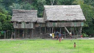 Village Life in the Amazon Jungle