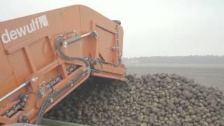 Dewulf RS3060 - 2-row self-propelled potato harvester