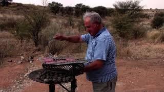 kgalagadi transfrontier park 2014