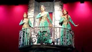 Shrek the Musical - I Know It's Today - Kelsey Anne Brown Sarah Mancuso Jayne Dolinskiy