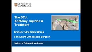 The Sternoclavicular Joint