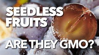 Are seedless fruits GMOs?