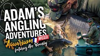 Epic Carp Fishing in France 2022 | The Aquarium | Team Trakker