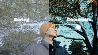 Boring to Cinematic | Dehancer for Premiere Pro
