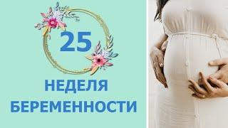 25 Неделя Беременности. Развитие плода и ощущения мамы