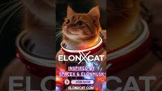 Take Off on a Fun Crypto Adventure with ElonXCat  || ELONXMUSK & SPACEX MEME COIN ||