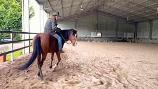 Greg Powell horsemanship clinics at Ballymount Farm