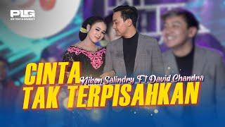 Niken Salindry feat. David Chandra - Cinta Tak Terpisahkan (Official Music Video)