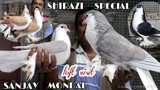 Fancy Pigeon Loft Visit of Sanjay Mondal . Uluberia,58 Gate ,Howrah District  - 9674664076