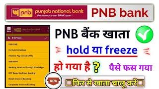 pnb Account freeze ho gaya hai, how to reactivate pnb bank account 2023, pnb account hold