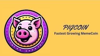 PigCoin Review || The Real MemeCoin on Polygon 