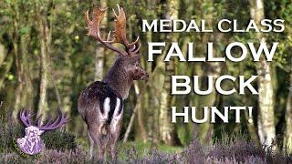 MONSTER MEDAL CLASS FALLOW BUCK HUNT!