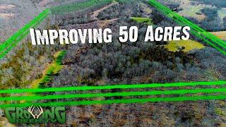 50 Acres: Better Hunting Than the Neighbors (610)