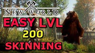 How to get LVL 200 SKINNING in New World in a few hours! Easiest and quickest method!