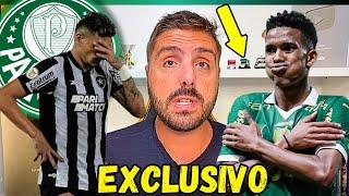 EXCLUSIVONICOLA TRAZ AS PRINCIPAIS NOTÍCIAS IMPORTANTES DO PALMEIRAS NESSE DOMINGO