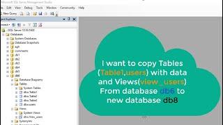 copy specific tables and views with data from one database to another on  same or different server.