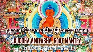 Buddha Amitabha Mantra: Om Ami Dewa Hri | Dewachen Mantra | Pure land Buddha mantra