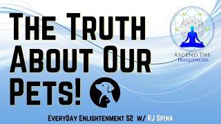 The Truth About Our Pets! | Everyday Enlightenment S2 | RJ Spina