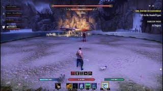 ESO CORAL AERIE HM WITH NO BUFFS NECRO TANK POV