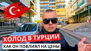 ХОЛОД в Турции! УДАРИЛ по урожаю! Как он повлиял на ЦЕНЫ! Правда или ложь?