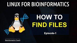 How to Search for Files in Linux | Beginners Guide