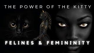 Bastet Cat Goddess of Egypt || How Cats became a symbol of Femininity