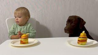 Can Baby and His Dog Resist the Temptation? Fruit Cake Challenge!