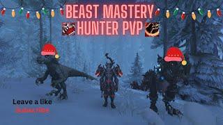 Beast Mastery Hunter Druids Hate Me PVp Bg 10.2   Dragonflight