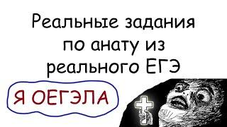 РАЗБОР РЕАЛЬНЫХ ЗАДАНИЙ ИЗ РЕАЛЬНОГО ЕГЭ ПО БИОЛОГИИ. Анатомический зашквар