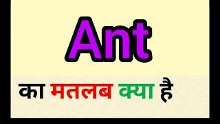 Ant meaning in hindi || ant ka matlab kya hota hai || word meaning english to hindi