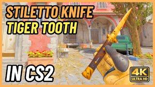  CS2 Stiletto Knife Tiger Tooth | CS2 Knife In-Game Showcase [4K]