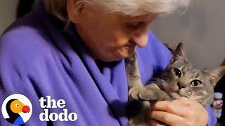 Grandma Is Hiding Her True Feelings About Her Cat | The Dodo