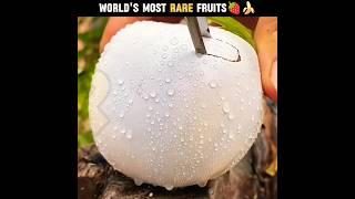 World's Most RARE Fruits { Part 2 }