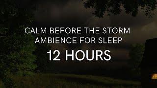 Calm Before the Storm Ambience (SLEEP Version: 12 HOURS) | Distant Thunder | Warm, Balmy & Windy