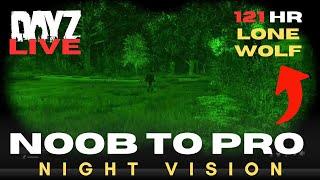 DayZ Official Survival | Working NVGs | Episode 33.2 #NoobtoPro #Dayz