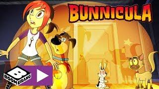 Bunnicula | Chester Locks Up Bunnicula | Boomerang UK 